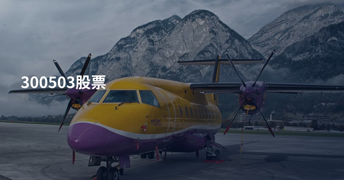 300503股票