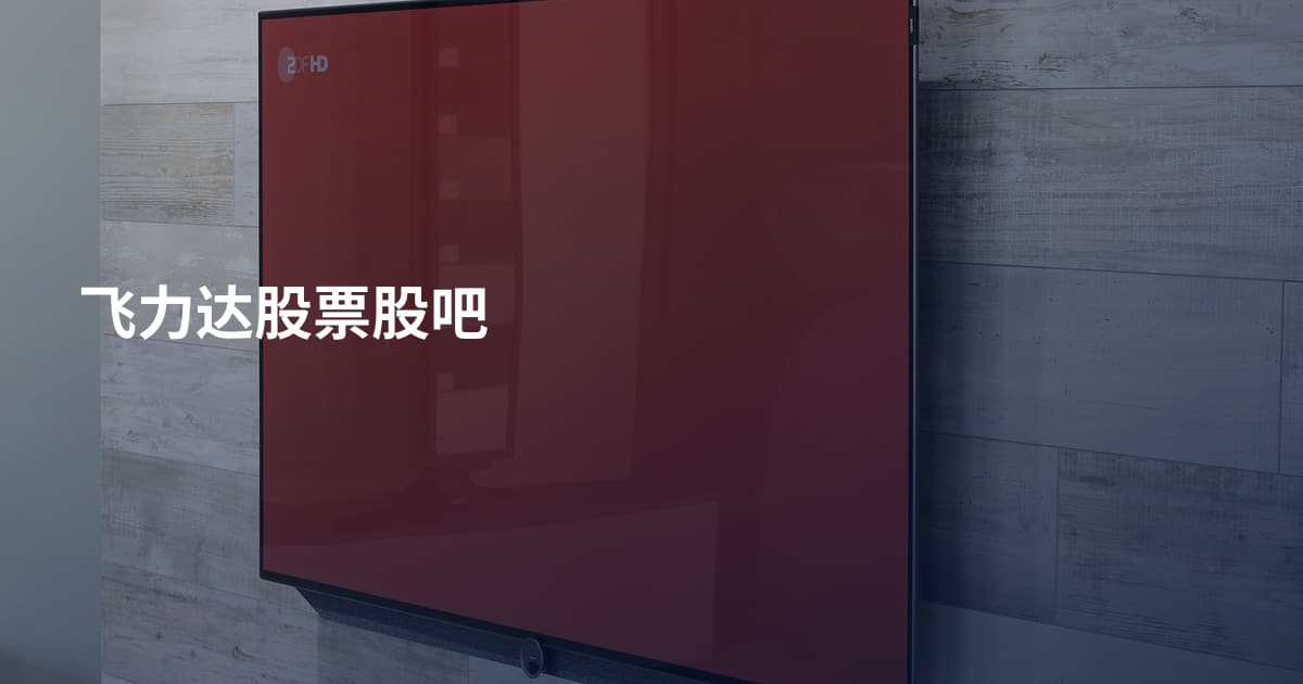 飞力达股票股吧