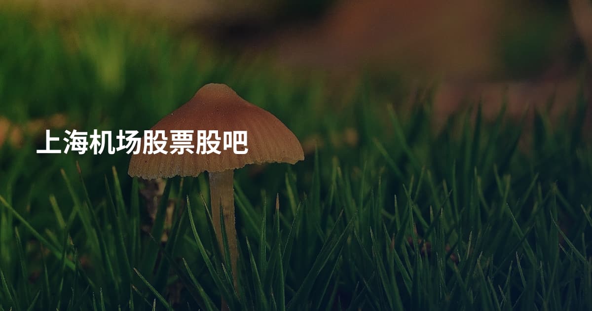 上海机场股票股吧