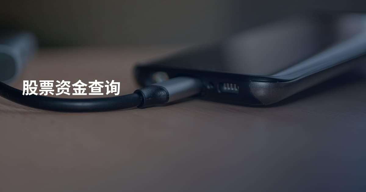 股票资金查询
