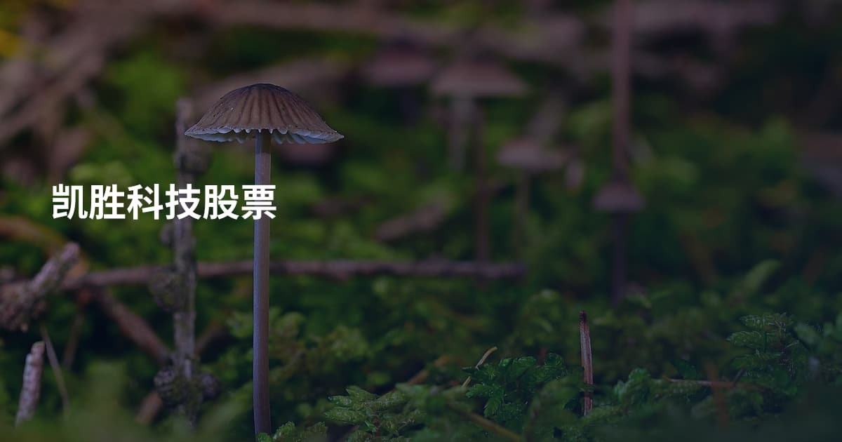 凯胜科技股票