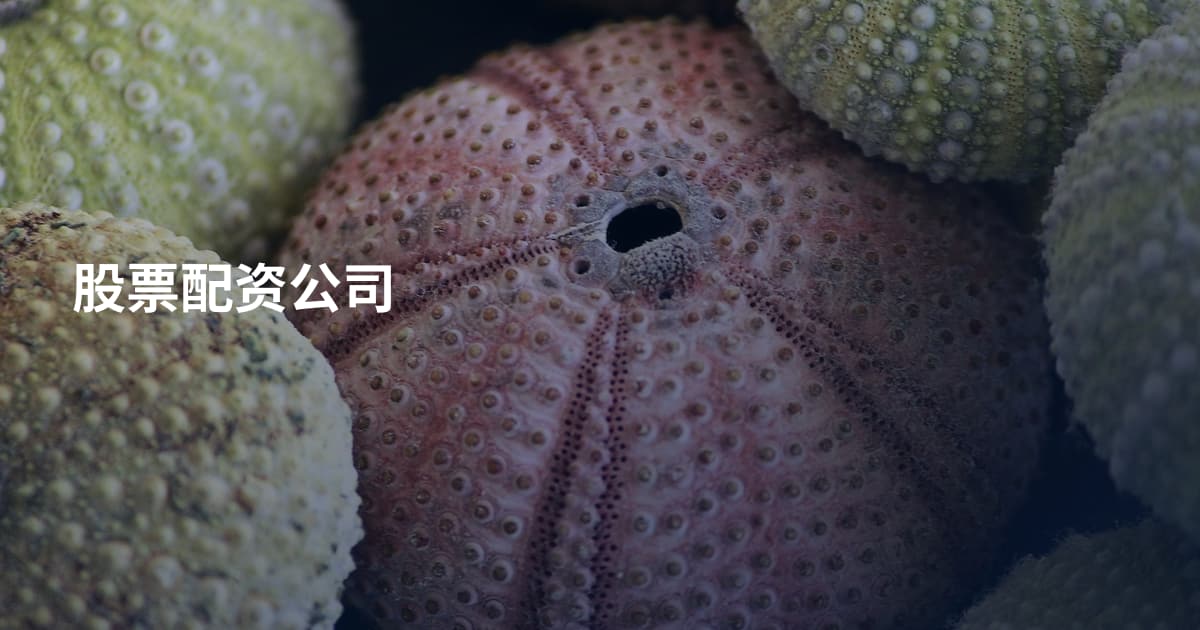 股票配资公司