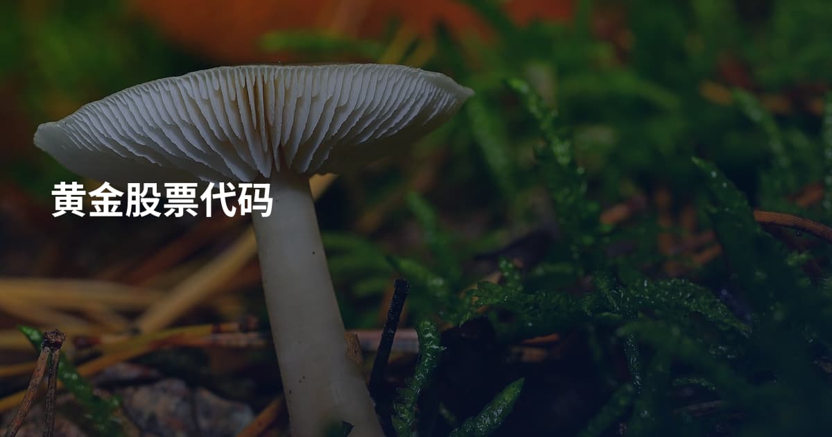 黄金股票代码