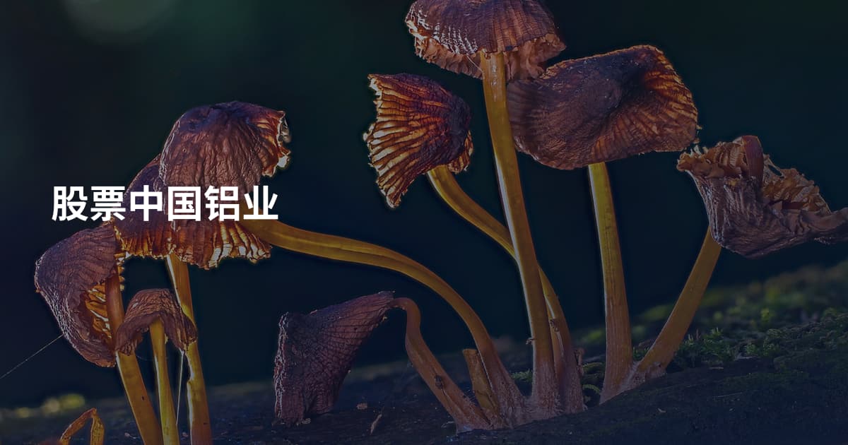 股票中国铝业
