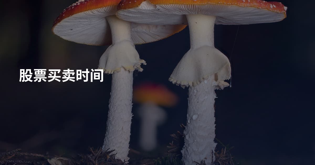 股票买卖时间