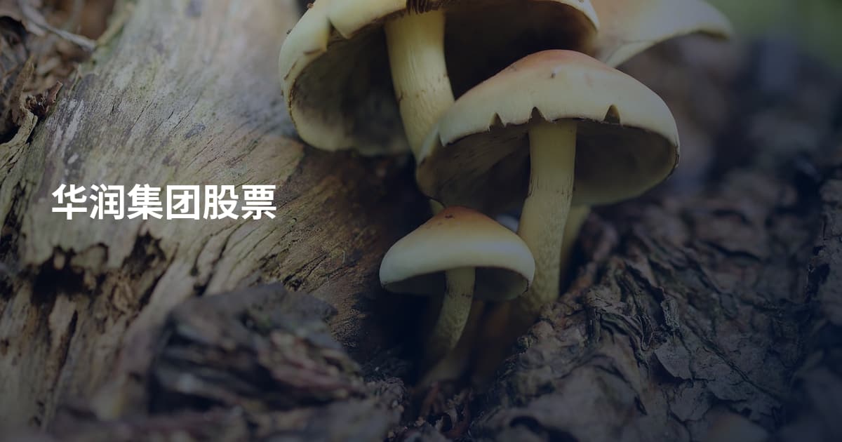 华润集团股票