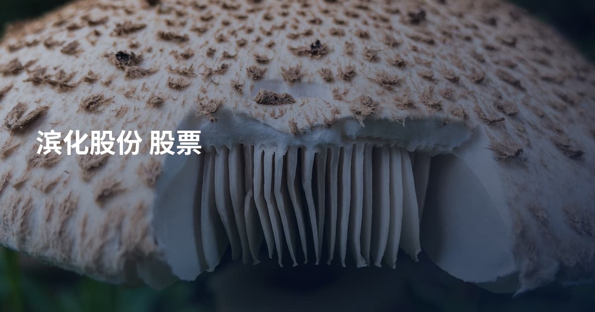 滨化股份 股票