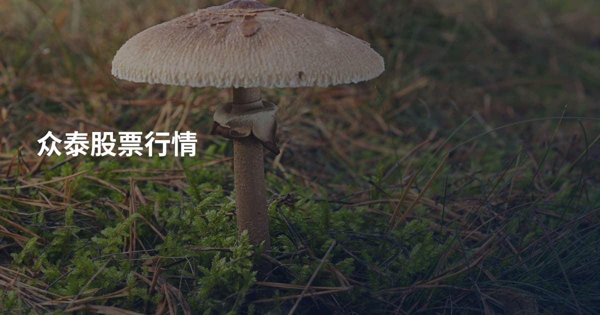 众泰股票行情