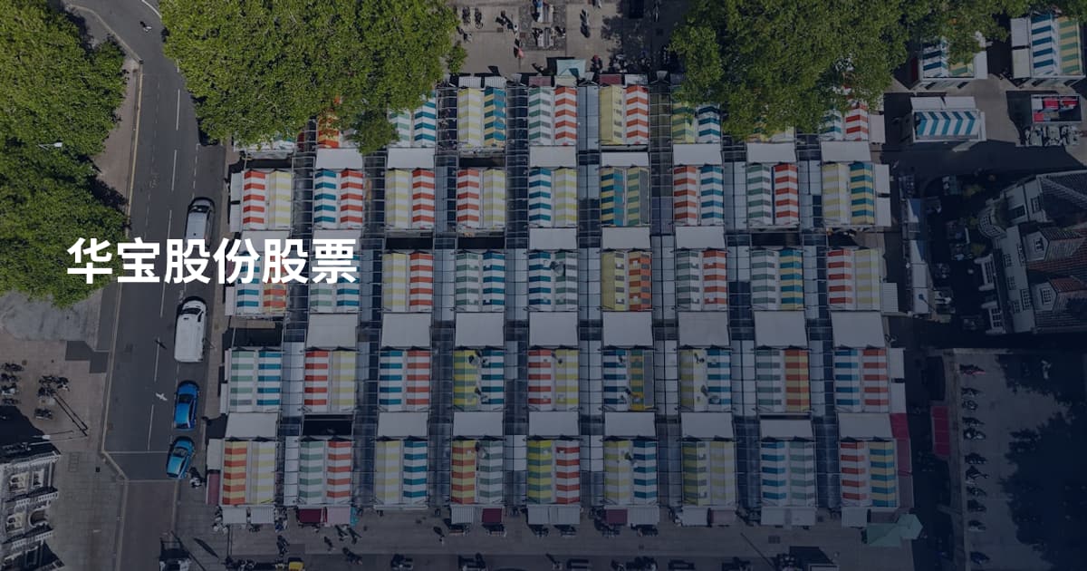 华宝股份股票