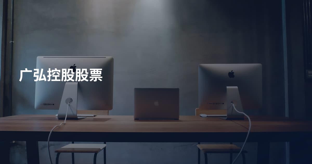 广弘控股股票
