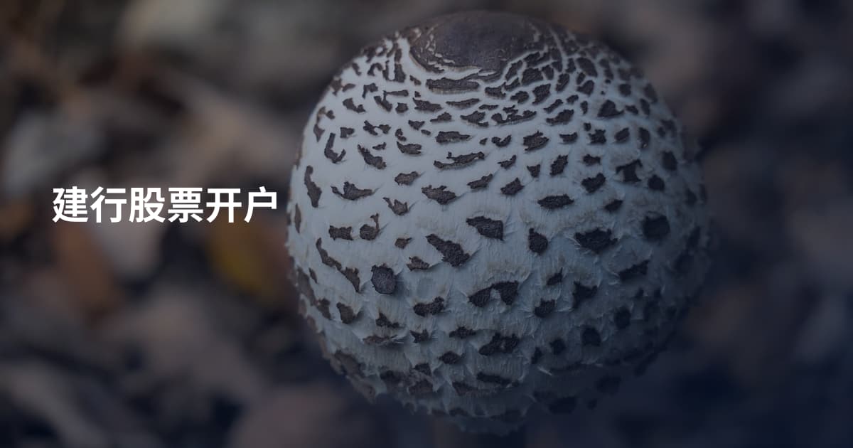 建行股票开户