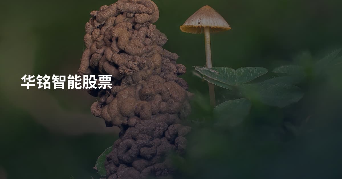 华铭智能股票