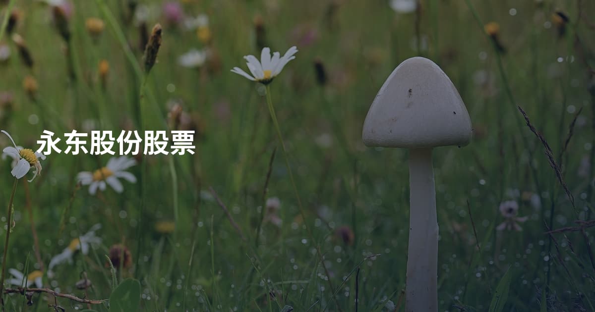 永东股份股票