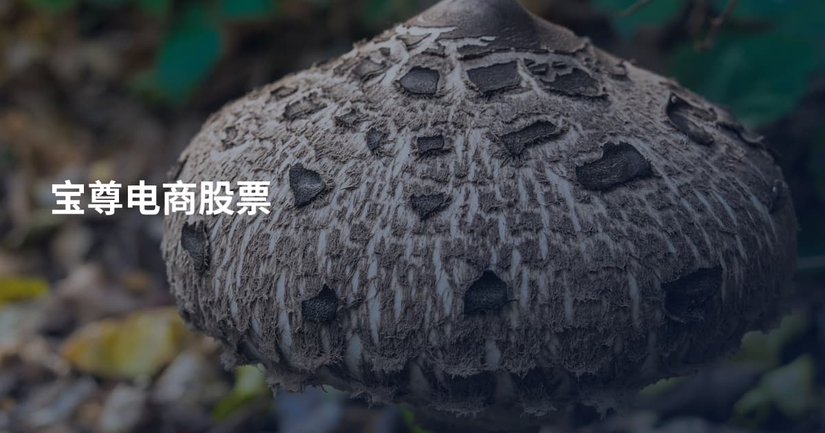 宝尊电商股票