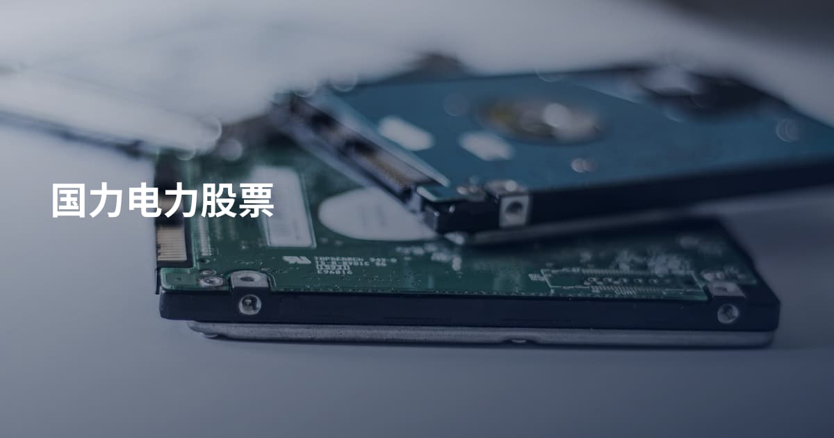 国力电力股票