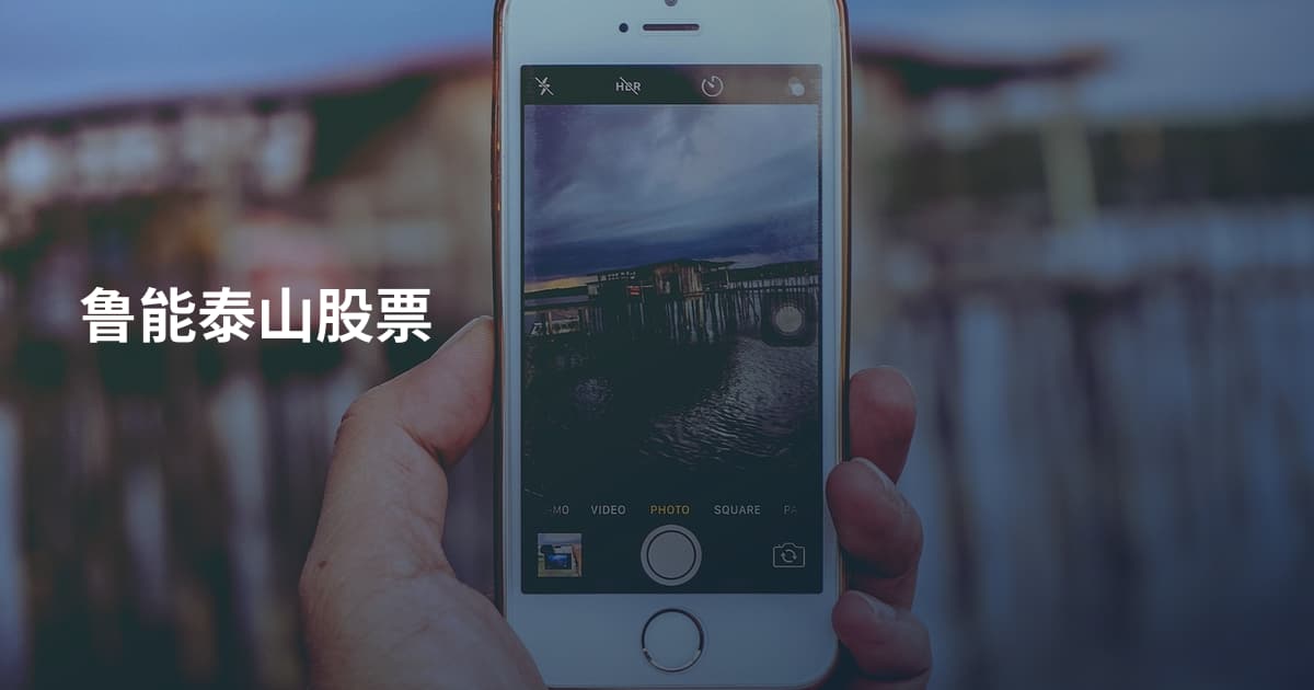 鲁能泰山股票