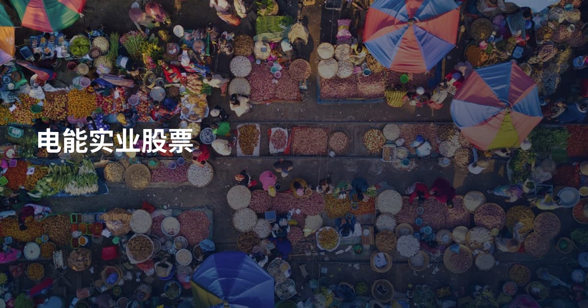 电能实业股票