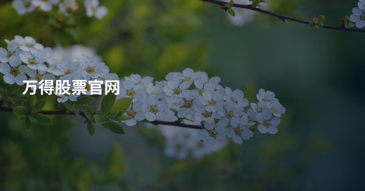 万得股票官网