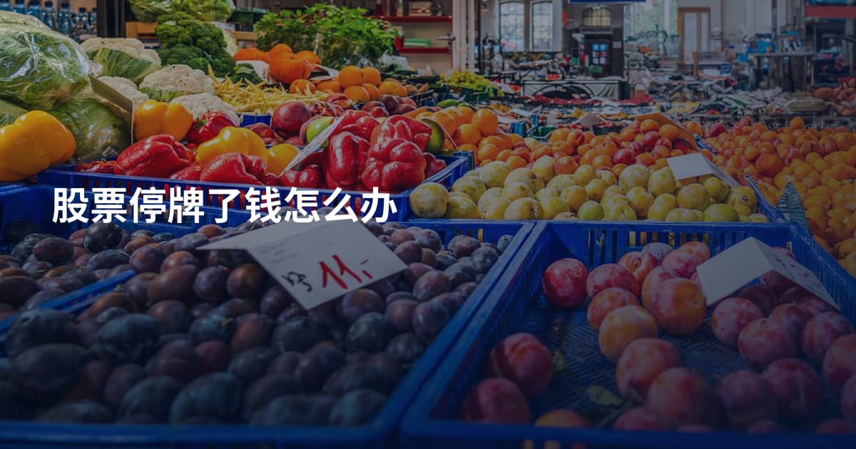 股票停牌了钱怎么办