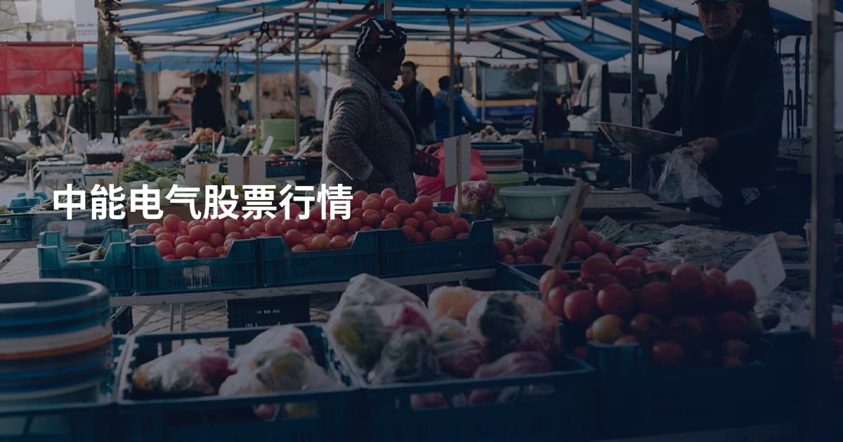 中能电气股票行情