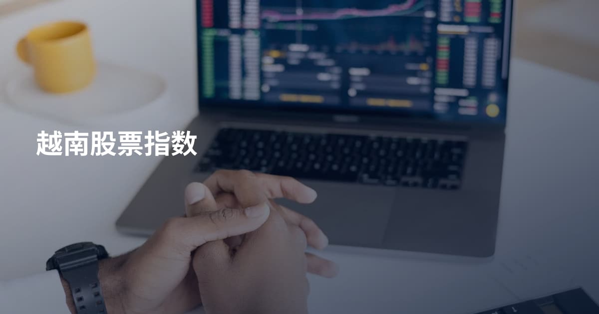 越南股票指数