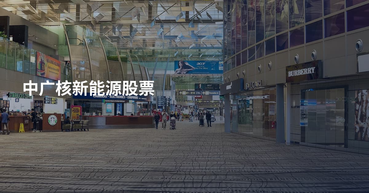 中广核新能源股票