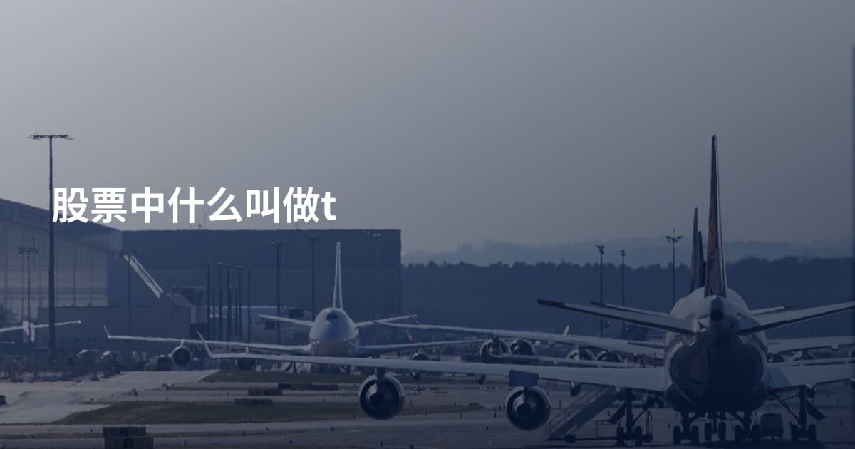 股票中什么叫做t