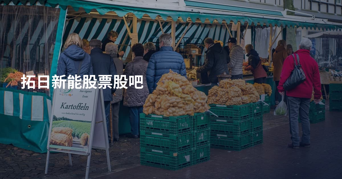 拓日新能股票股吧