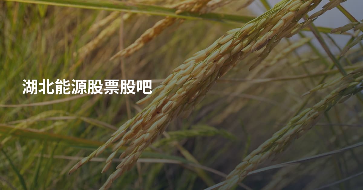 湖北能源股票股吧