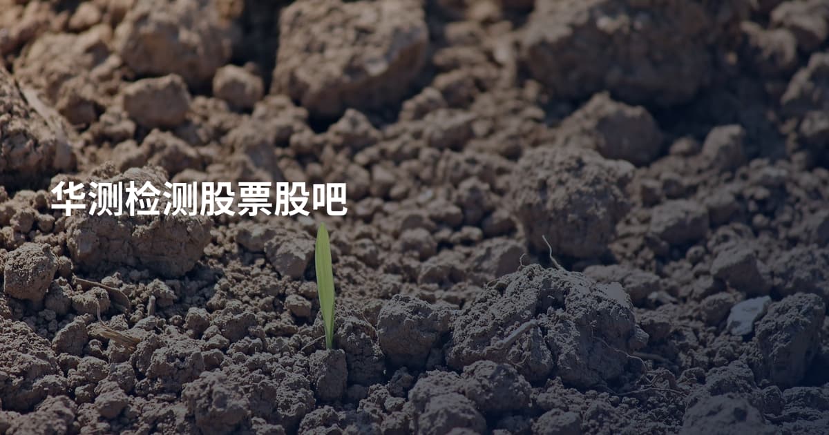 华测检测股票股吧