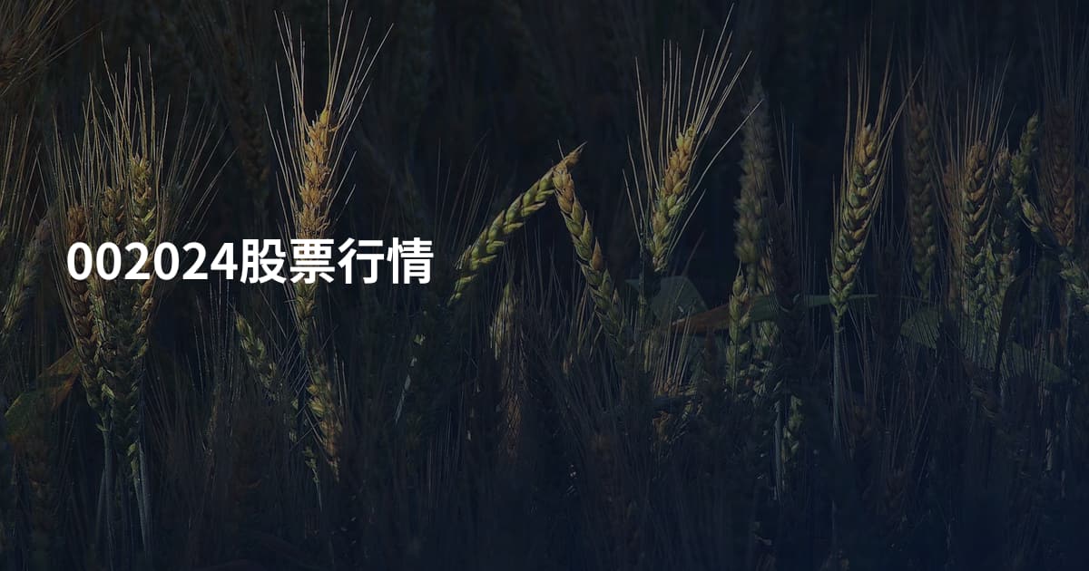 002024股票行情