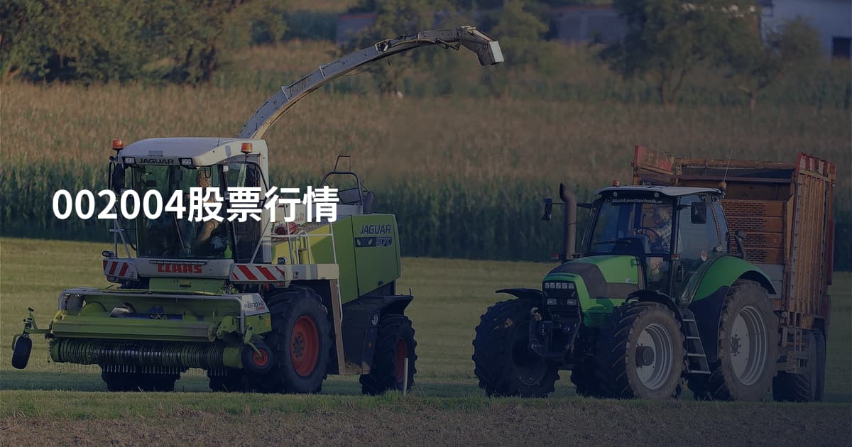 002004股票行情