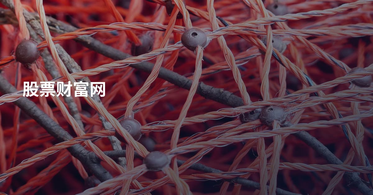 股票财富网