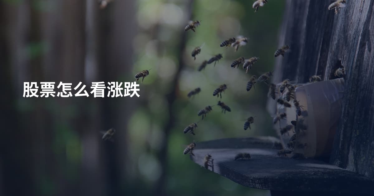 股票怎么看涨跌