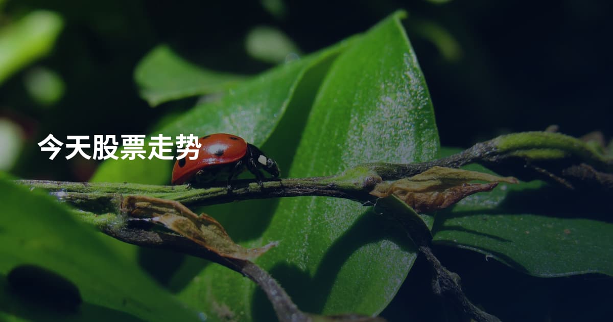 今天股票走势