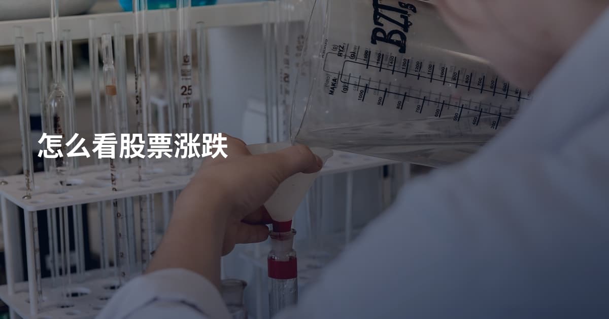 怎么看股票涨跌