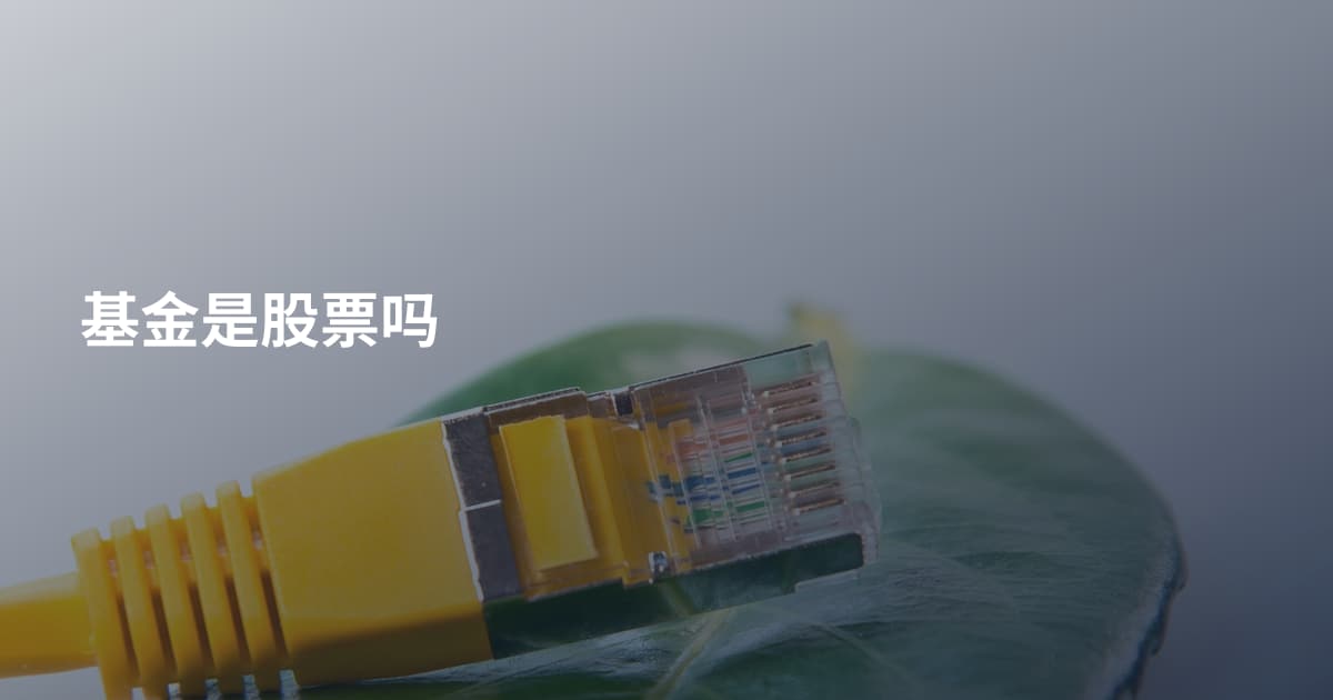 基金是股票吗