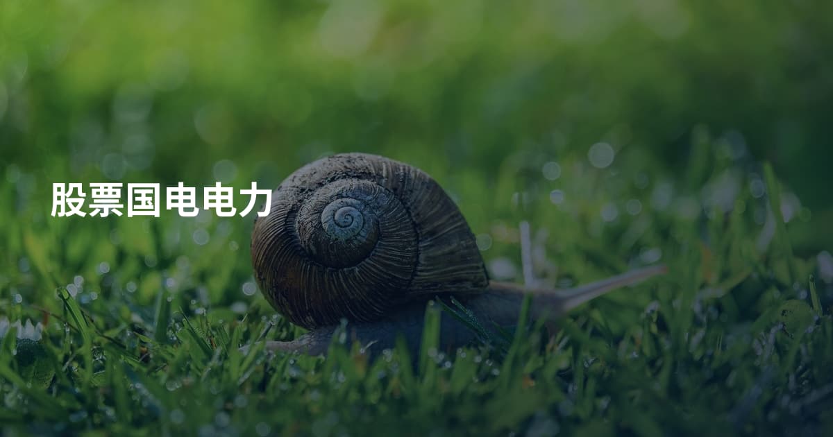 股票国电电力