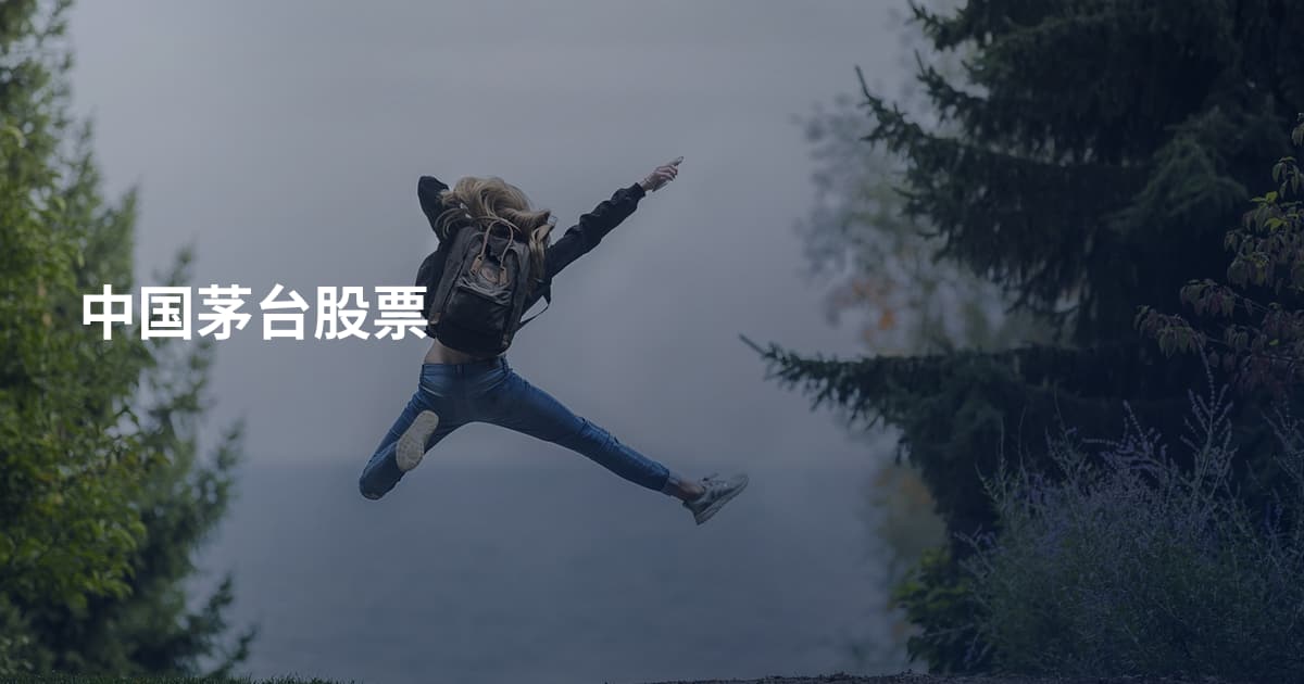 中国茅台股票