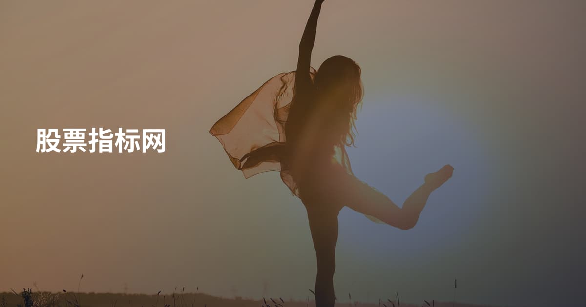 股票指标网