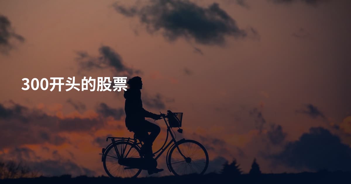 300开头的股票