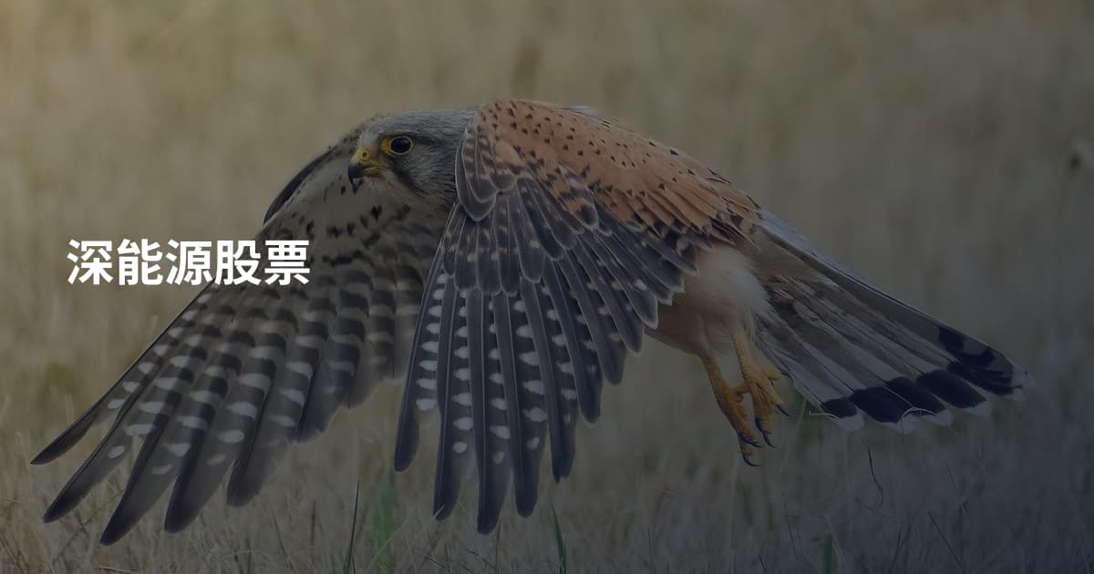深能源股票