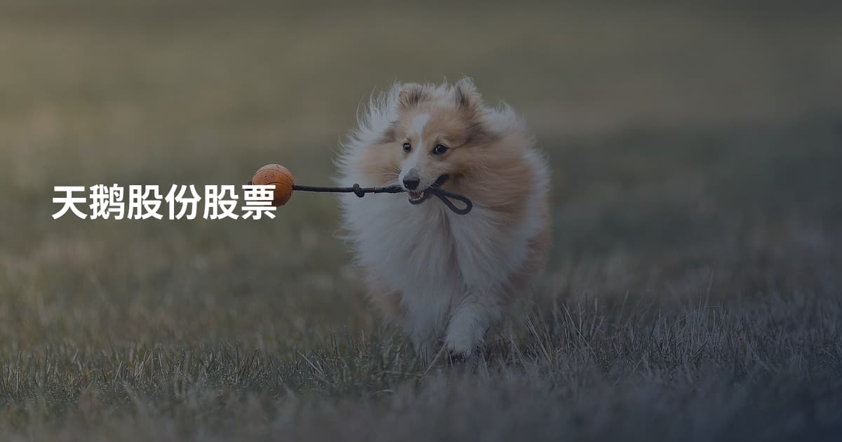 天鹅股份股票