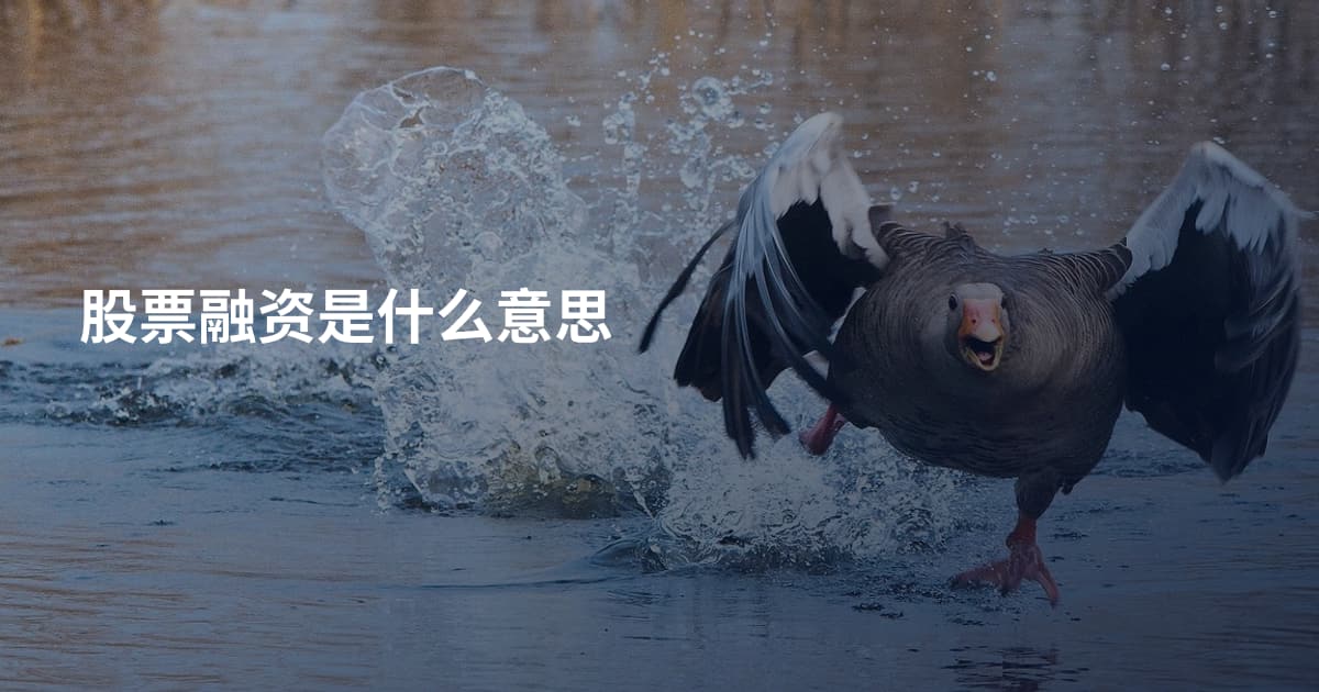 股票融资是什么意思