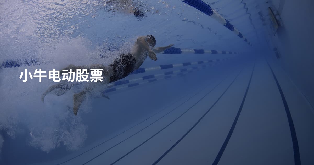 小牛电动股票