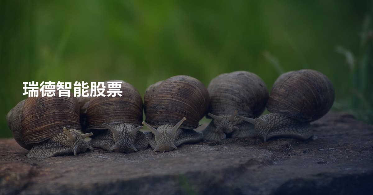 瑞德智能股票