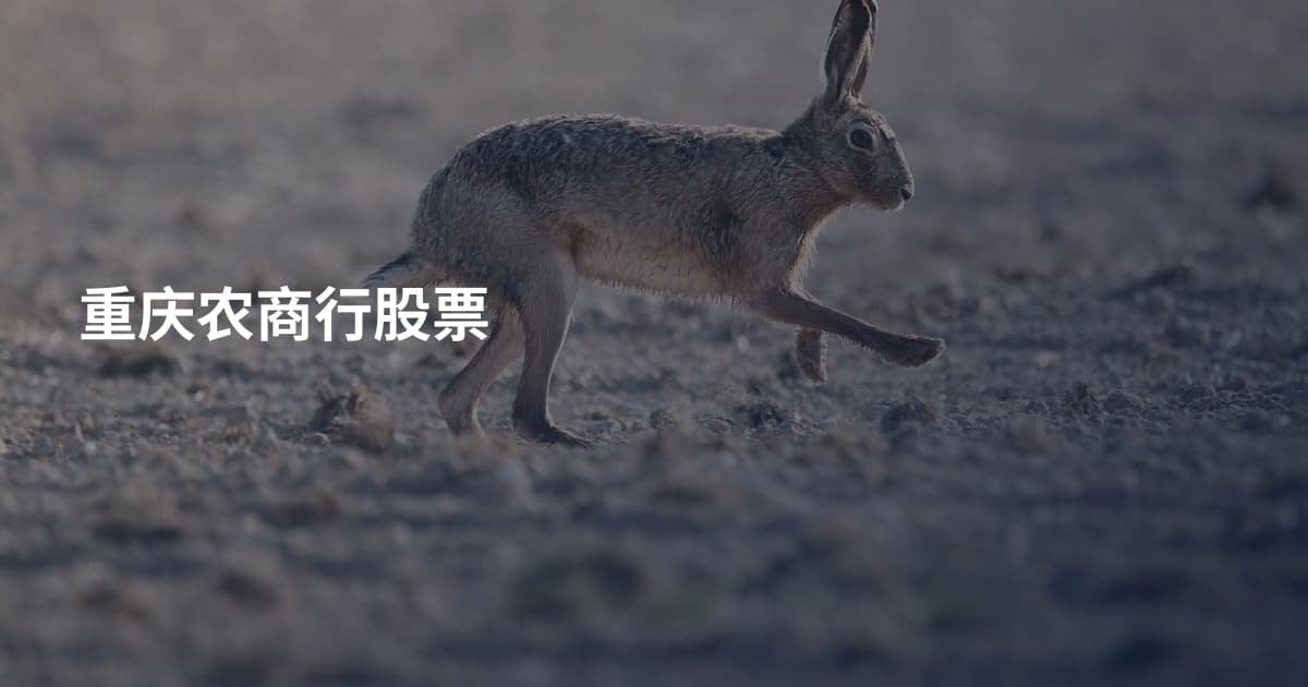 重庆农商行股票