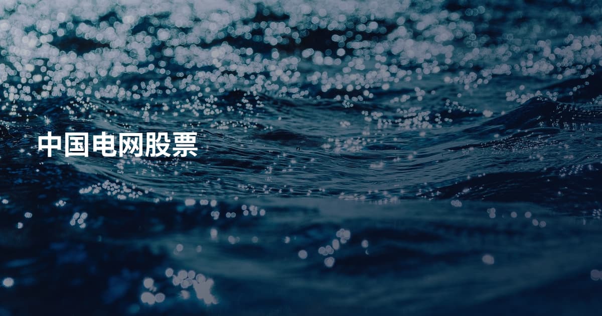 中国电网股票