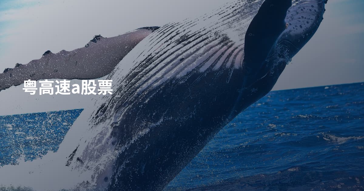 粤高速a股票