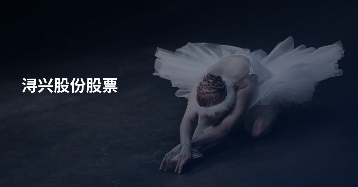 浔兴股份股票